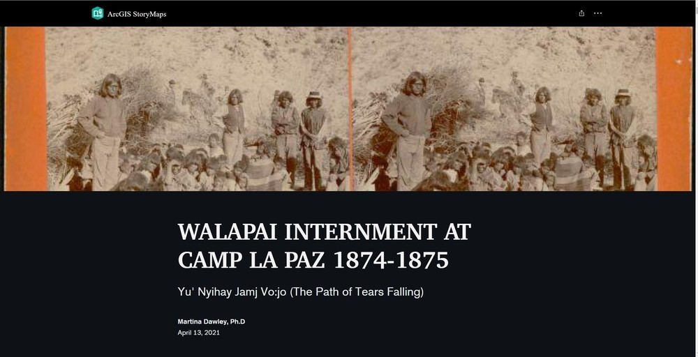 walp internment at camp la paz 1874-1874 - book cover with black and white  photo 