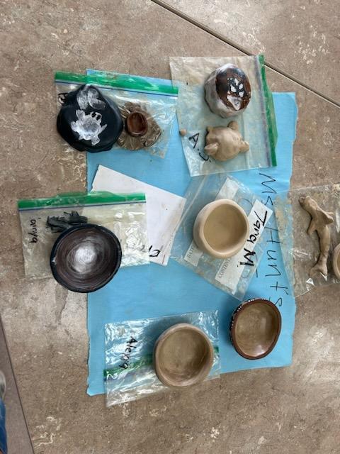 pic 5